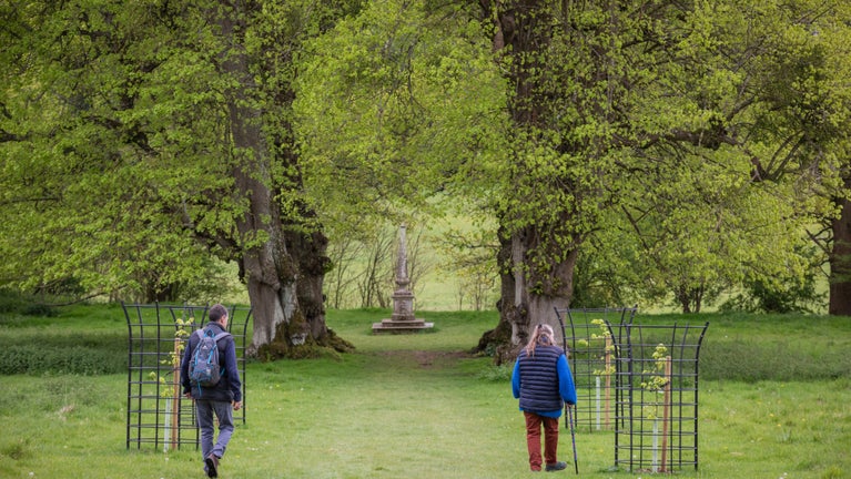 Two visitors walk along a grassy avenue in Hinton Ampner parkland, Hampshire, between young protected trees and mature trees covered in fresh spring leaves. A stone monument stands in the distance at the end of the path, framed by the vibrant green landscape.